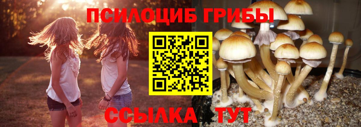 Галлюциногенные грибы мицелий Артёмовский