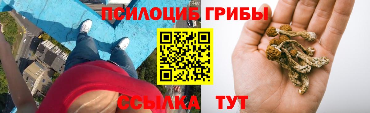 Псилоцибиновые грибы мухоморы  Вход с VPN  Артёмовский  Галлюциногенные грибы MAGIC MUSHROOMS 