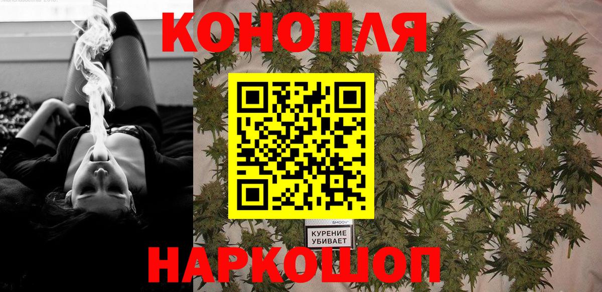 Конопля гибрид Артёмовский